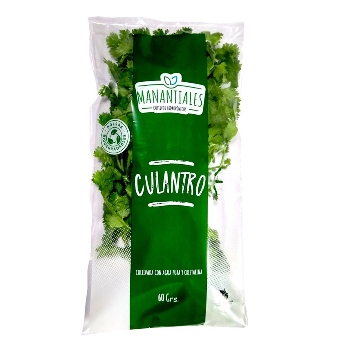 MANANTIALES - Culantro Manantiales x 60 g