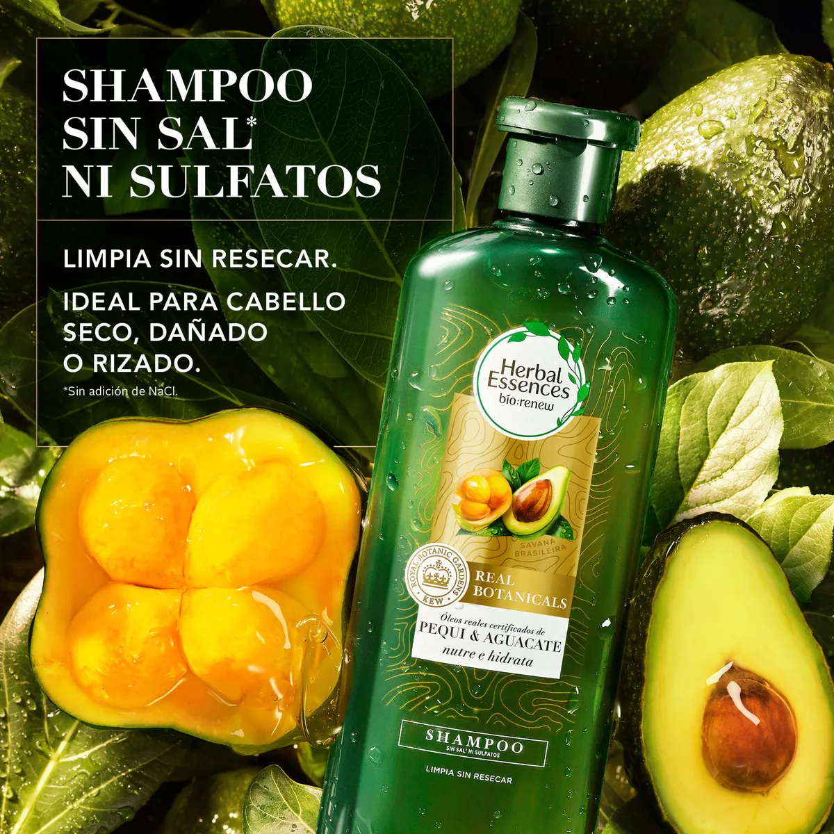 HERBAL ESSENCES - Shampoo Herbal Essences Pequi Aceite de Argán Envase 400 mL