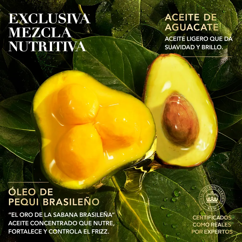 Shampoo Herbal Essences Pequi Aceite de Argán Envase 400 mL