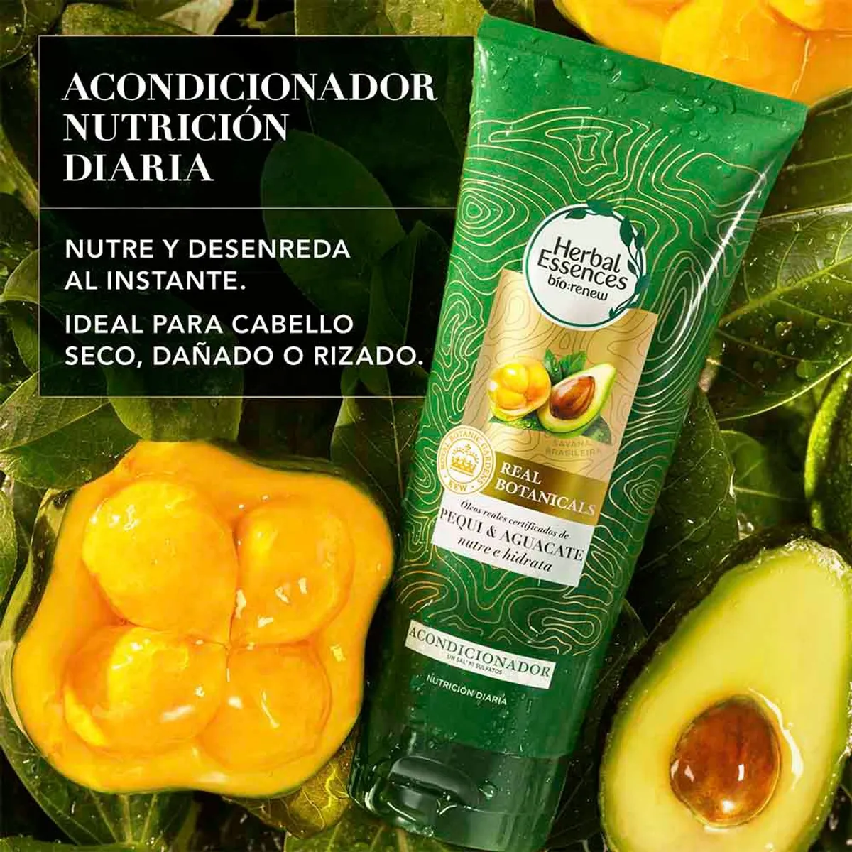 HERBAL ESSENCES - Acondicionador Herbal Essences Pequi Aceite de Argán Envase 250 mL