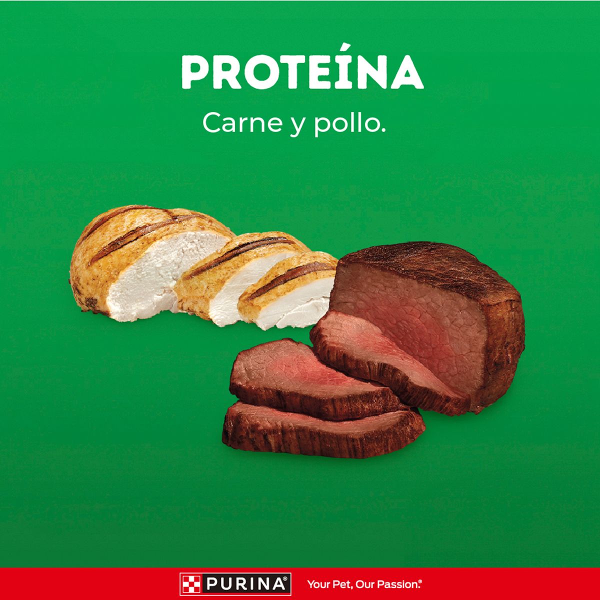 DOG CHOW - Alimento Seco Cachorros Grandes Dog Chow Carne Pollo Bolsa 15 Kg