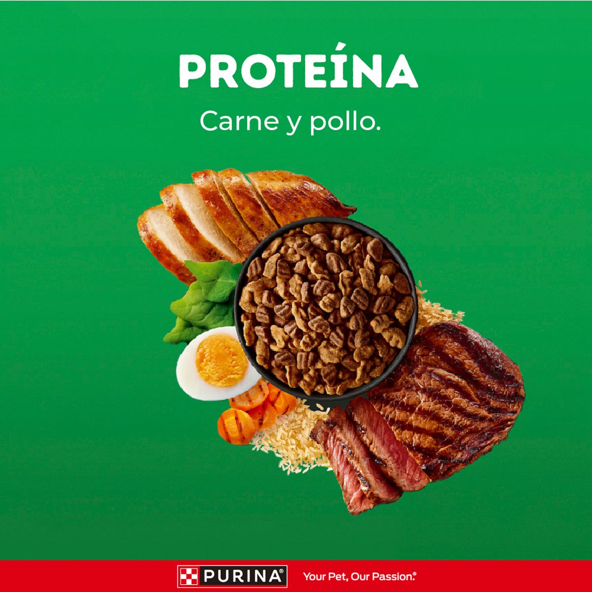 DOG CHOW - Alimento Seco Perros Adultos Dog Chow Alta Proteína Carne Huevo Bolsa 2 Kg