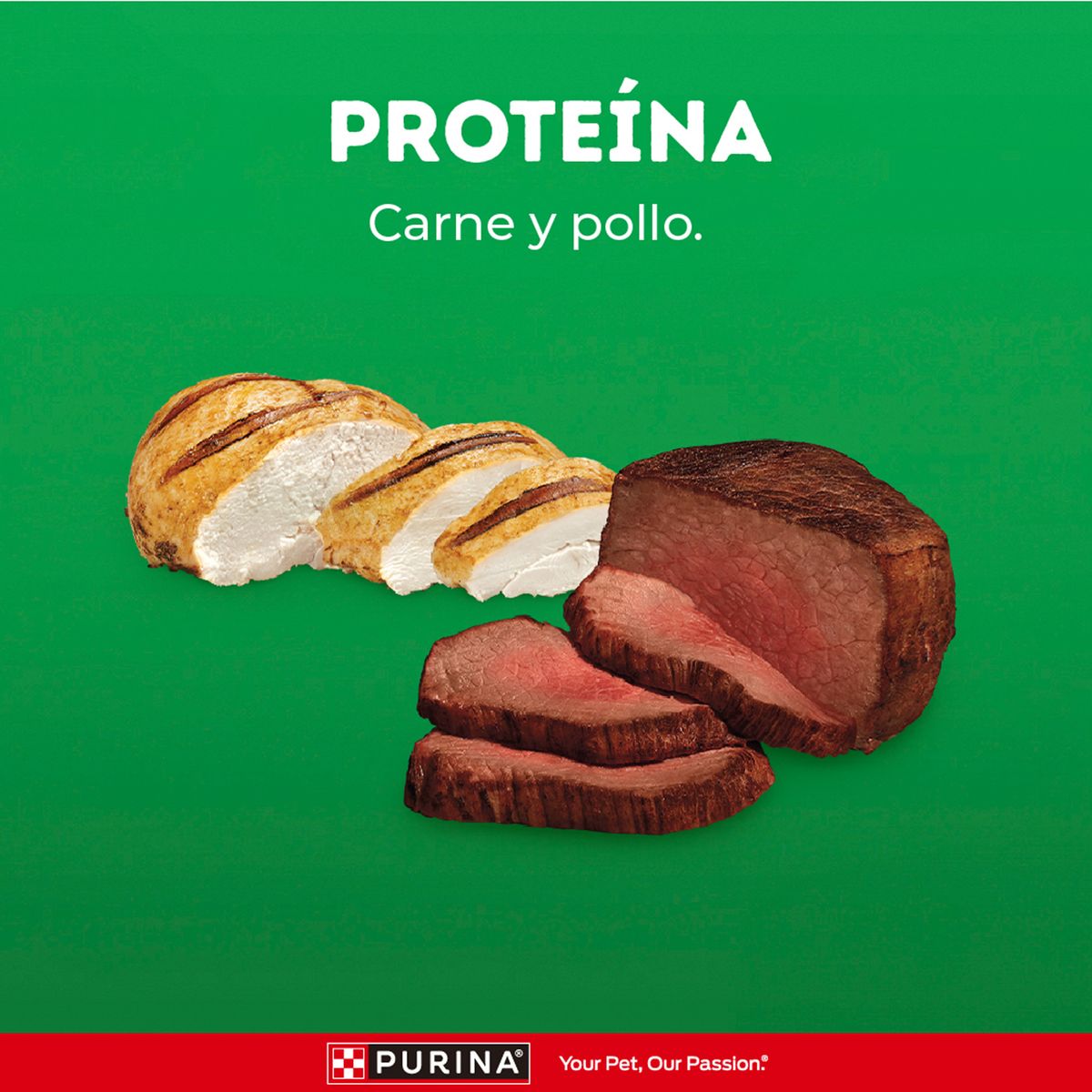 DOG CHOW - Alimento Seco Perros Adultos Dog Chow Life Longevidad Carne y Pollo Bolsa 3 Kg