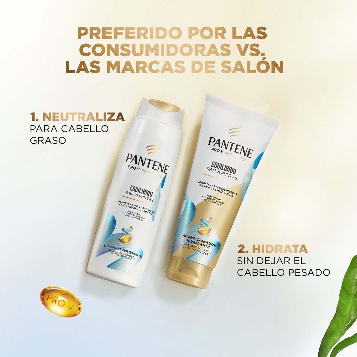 PANTENE - Pack Pantene Equilibrio Raíz Shampoo 300 mL + Acondicionador 250 mL