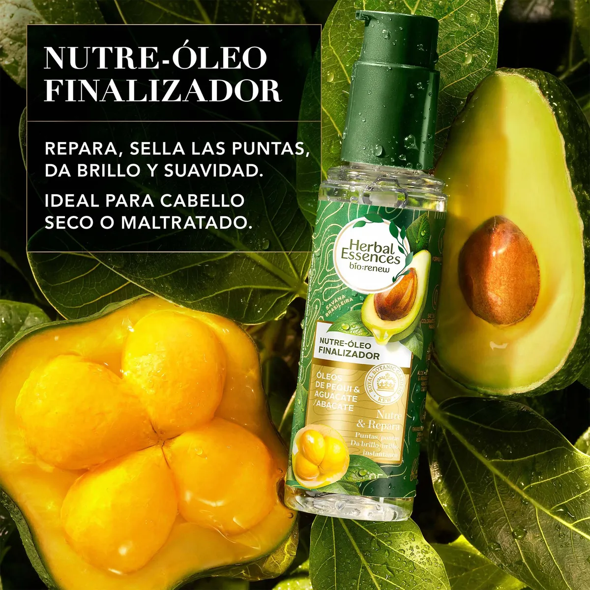 HERBAL ESSENCES - Óleo Capilar Herbal Essences Finalizador Pequi Envase 95 mL