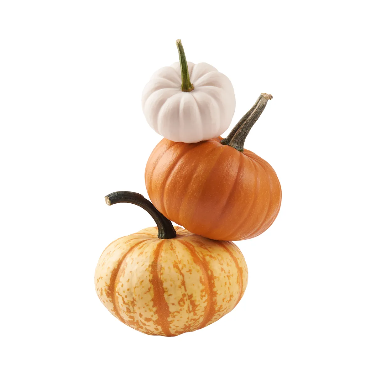 TOTTUS - Minicalabazas Halloween x Un