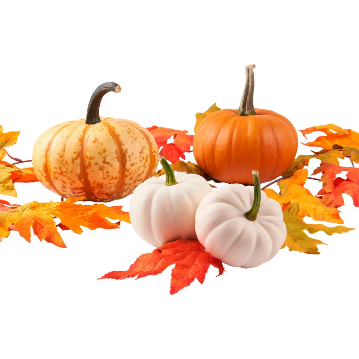 TOTTUS - Minicalabazas Halloween x Un