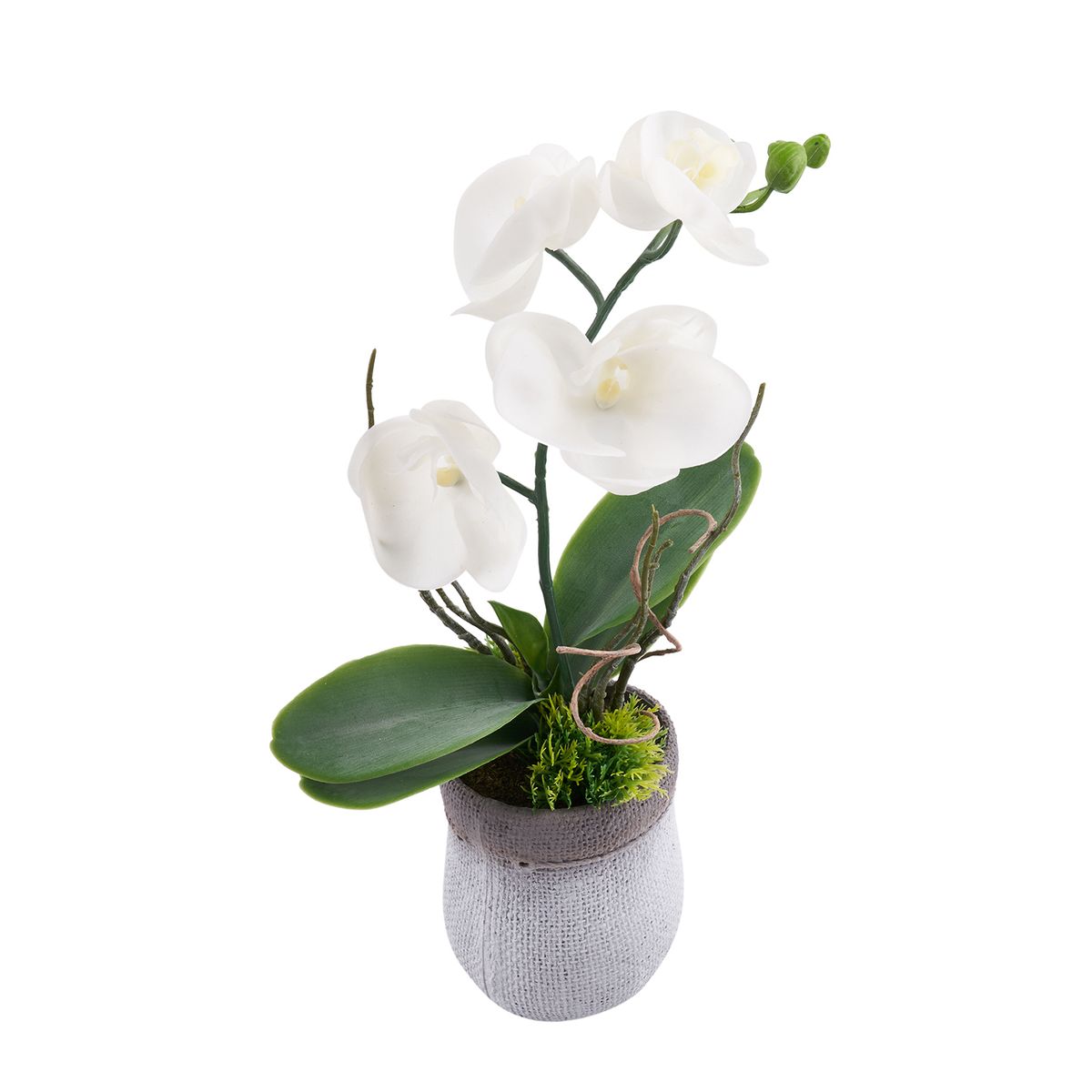  - Maceta Orquidea Surtido