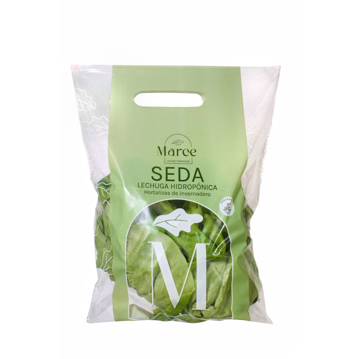 MARCE - Lechuga Hidropónica Seda Marce x 180 g