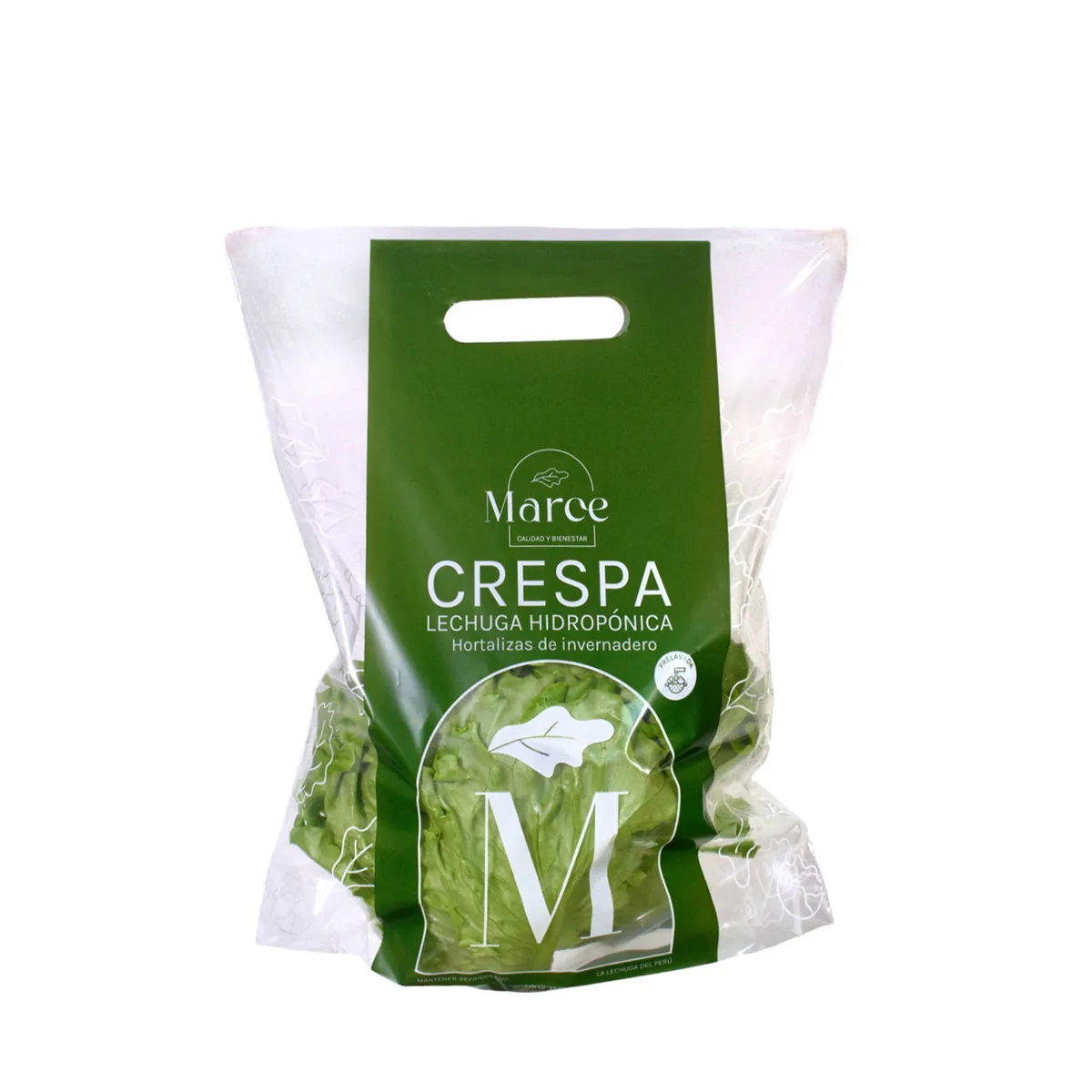 MARCE - Lechuga Hidropónica Crespa Marce x 180 g