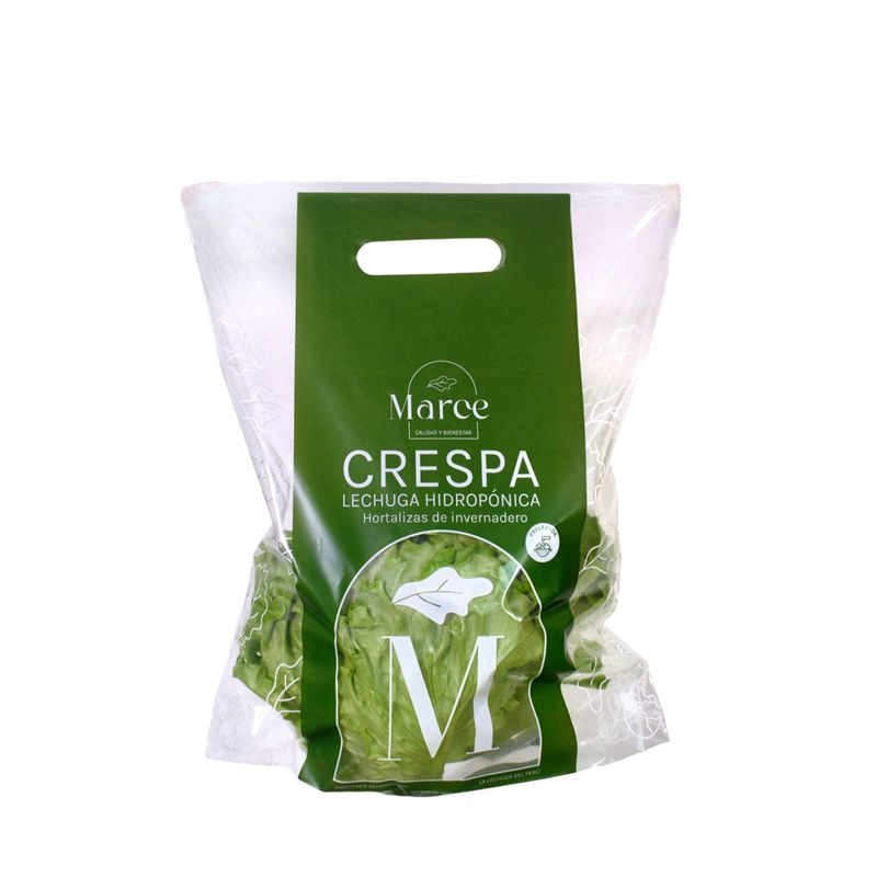 MARCE - Lechuga Hidropónica Crespa Marce x 180 g