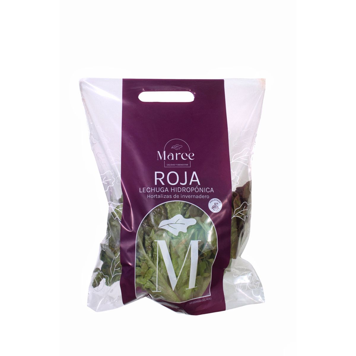 MARCE - Lechuga Hidropónica Roja Marce x 180 g