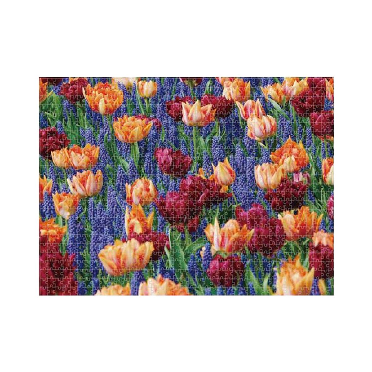 PIP GAMES - Rompecabezas Vista 1000 Pzas