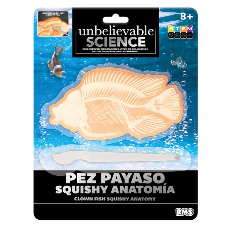 SMW - Disección Anatomía Squishy Mini