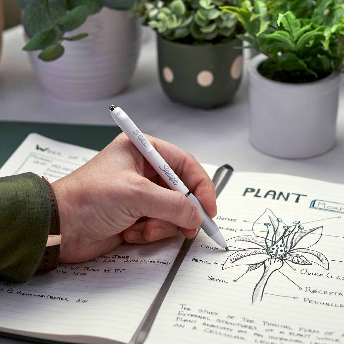 SHARPIE - SHARPIE BOLIGRAFOS SGEL X4 COLORES VIVOS