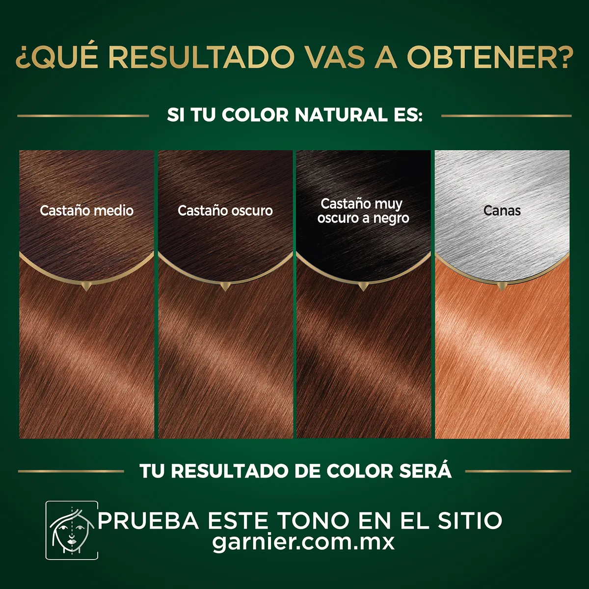 NUTRISSE - Tinte Nutrisse Oleos Tono 7.35 Rubio Dorado Caoba