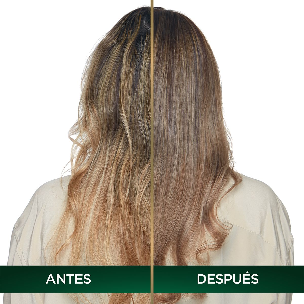 NUTRISSE - Tinte Nutrisse Oleos Tono 8.12 Rubio Claro Cenizo Nacarado