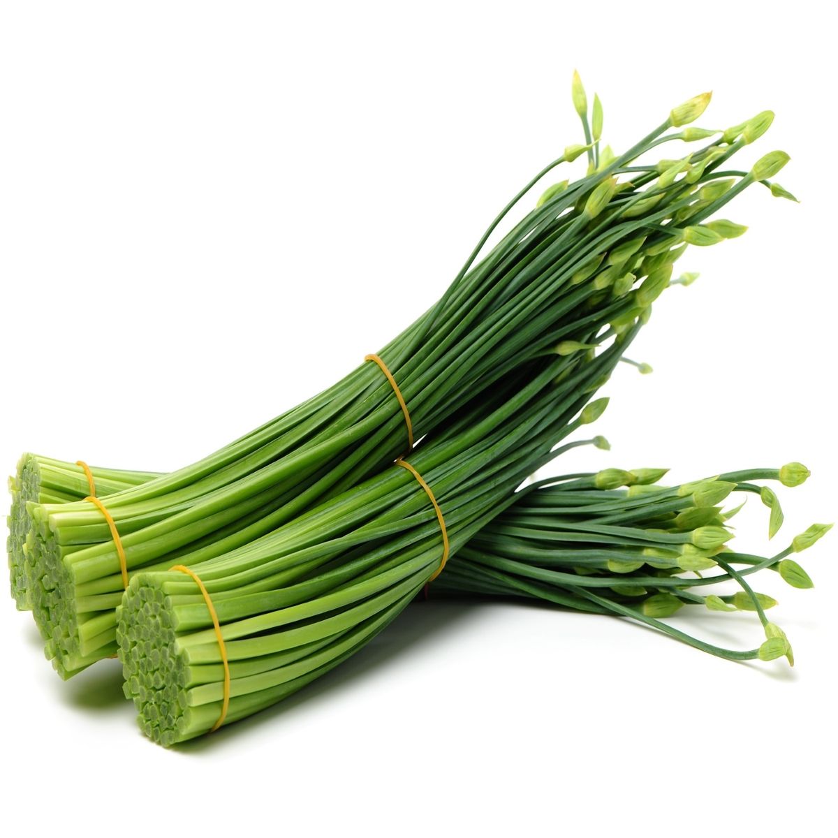 TOTTUS - Ajo Chino x Un