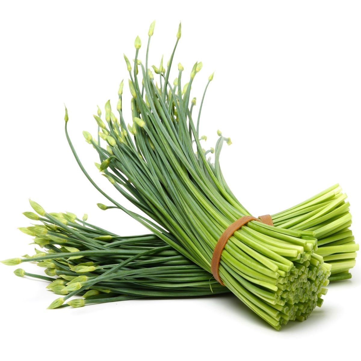 TOTTUS - Ajo Chino x Un