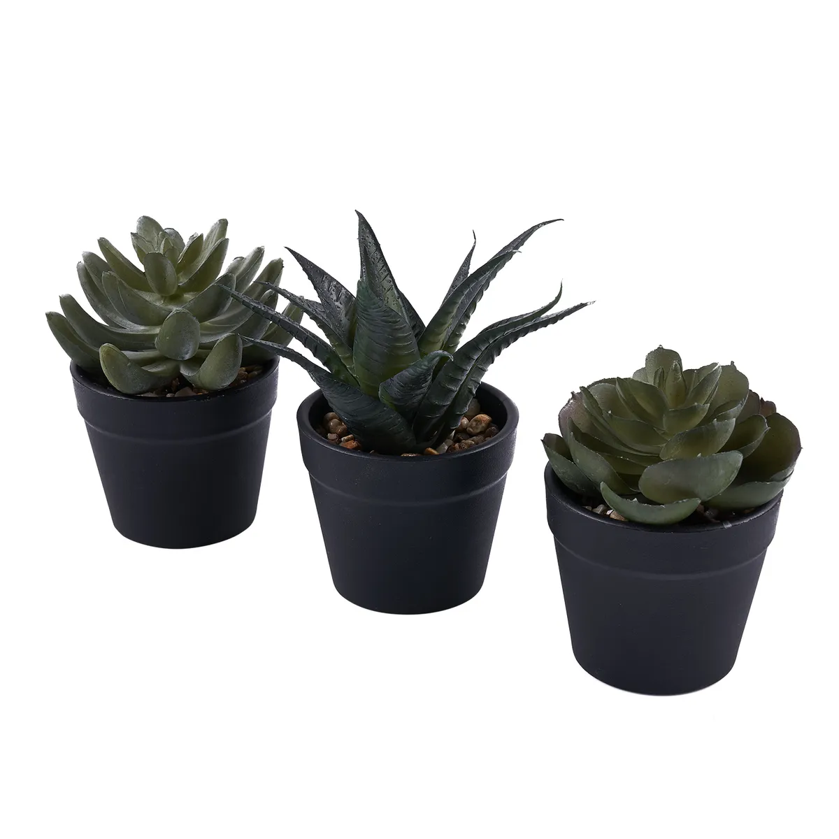 Casa Joven - Pack X 3 Suculentas
