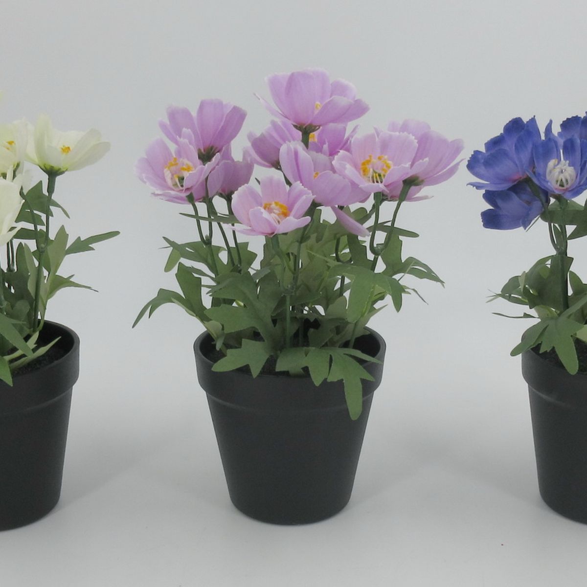 Casa Joven - Planta Art Flores 8H