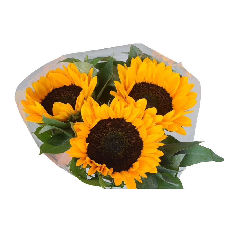 TOTTUS - Ramo De 3 Girasoles x Un