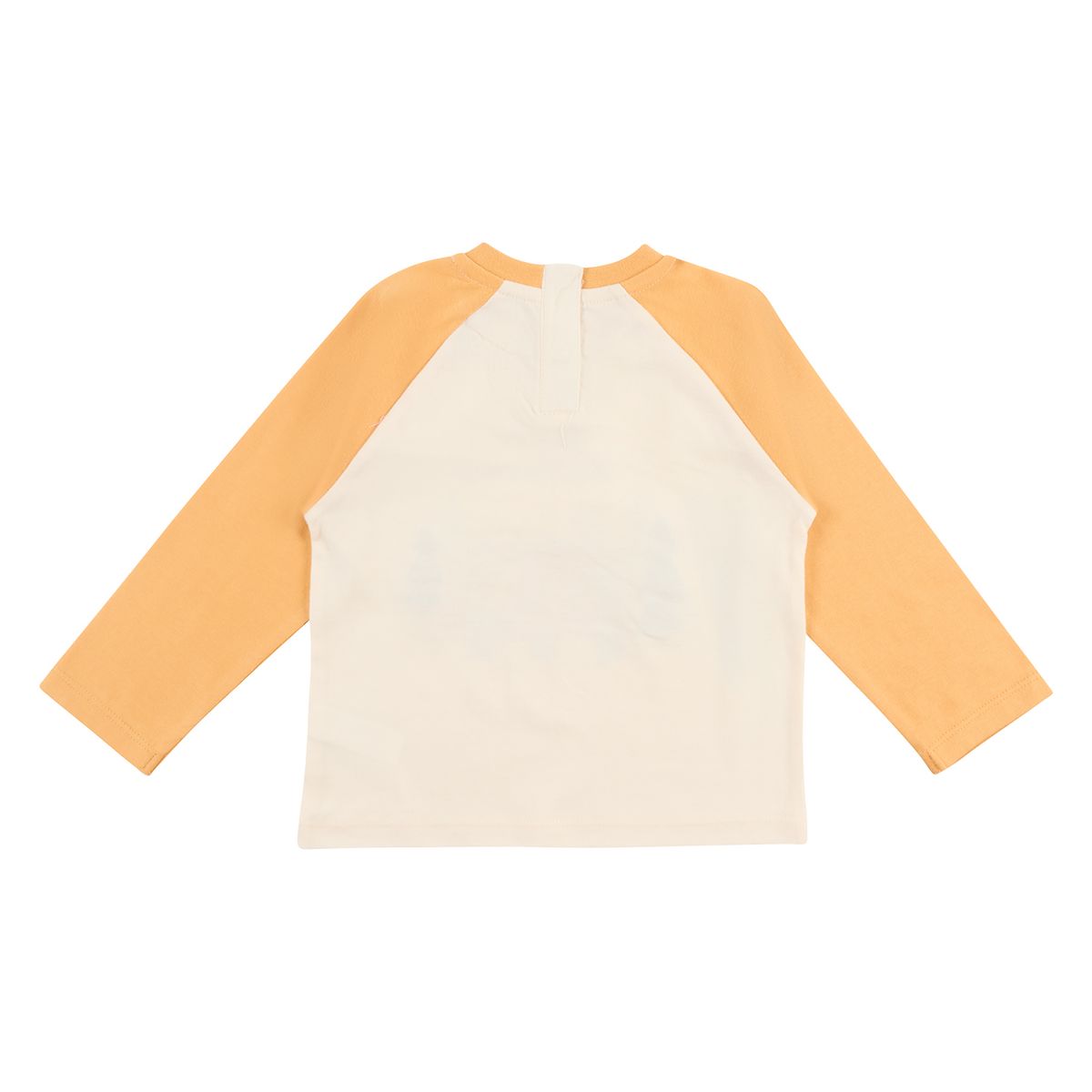  - WEB POLO TECNICA ML BO GOLDEN  CHALK 6M