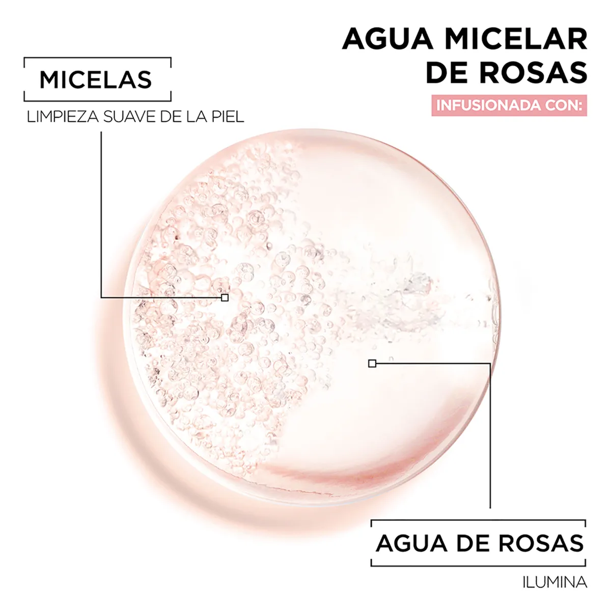GARNIER - Agua Micelar Garnier con Rosas Botella 100 mL