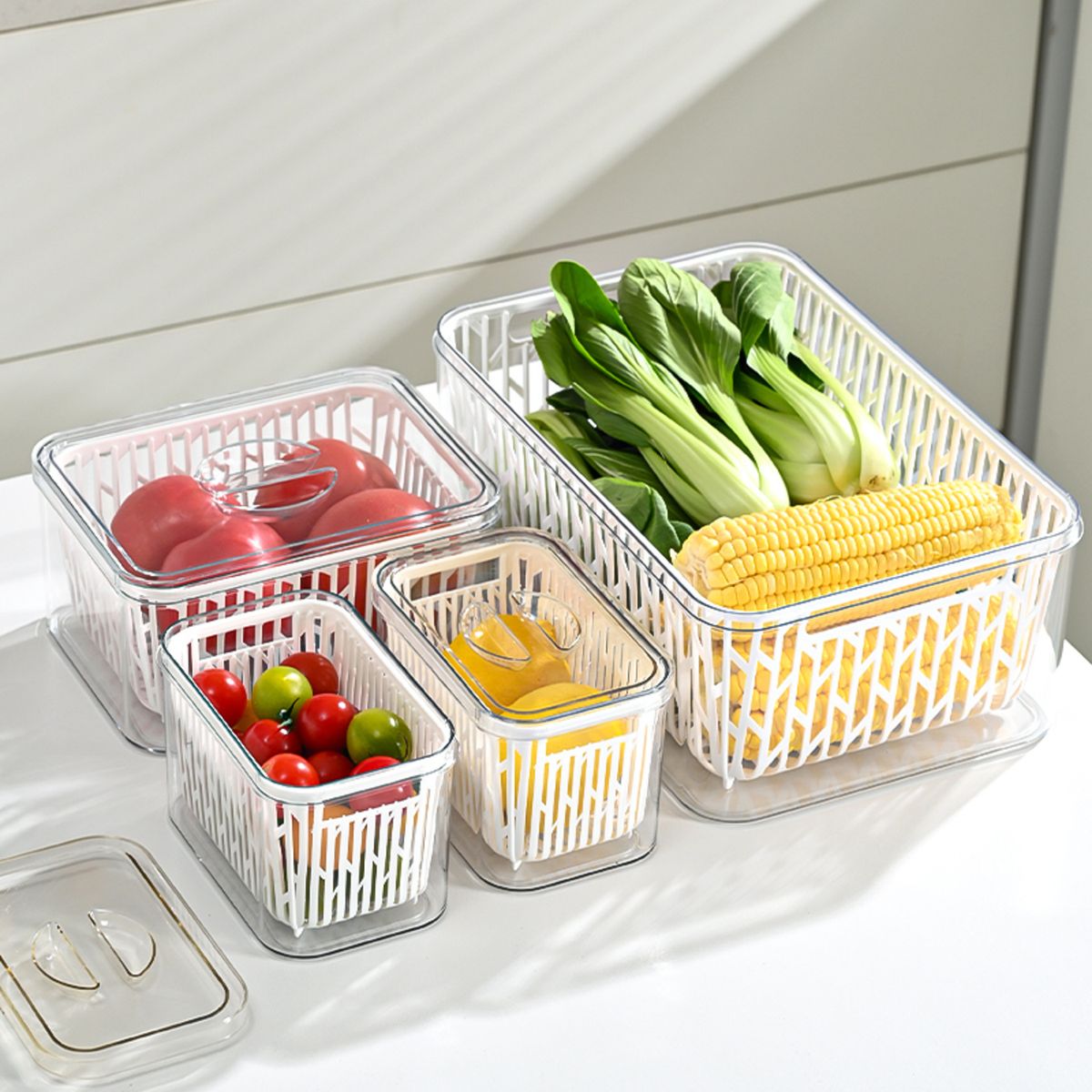 CASA JOVEN - Contenedor con Canastilla Casa Joven Pet 14.5 cm