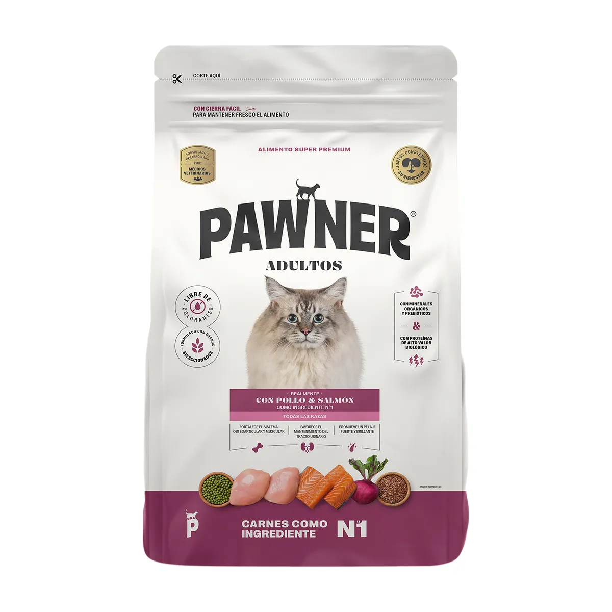 PAWNER - Alimento para Gatos Adultos Pawner Pollo y Salmón Bolsa 1 Kg