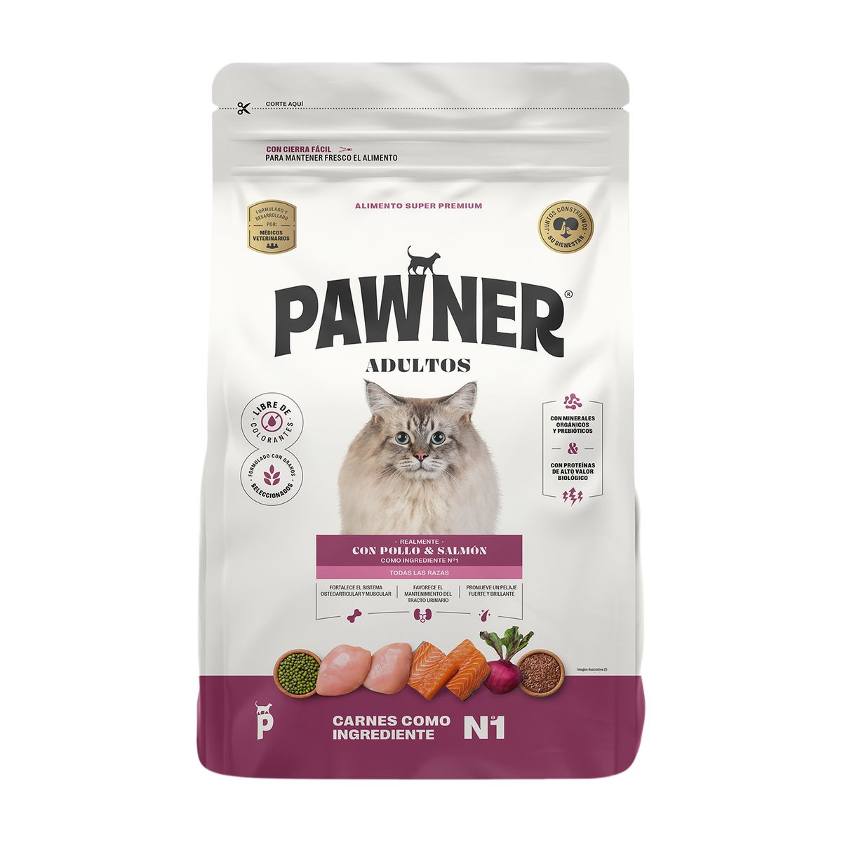 PAWNER - Alimento para Gatos Adultos Pawner Pollo y Salmón Bolsa 1 Kg