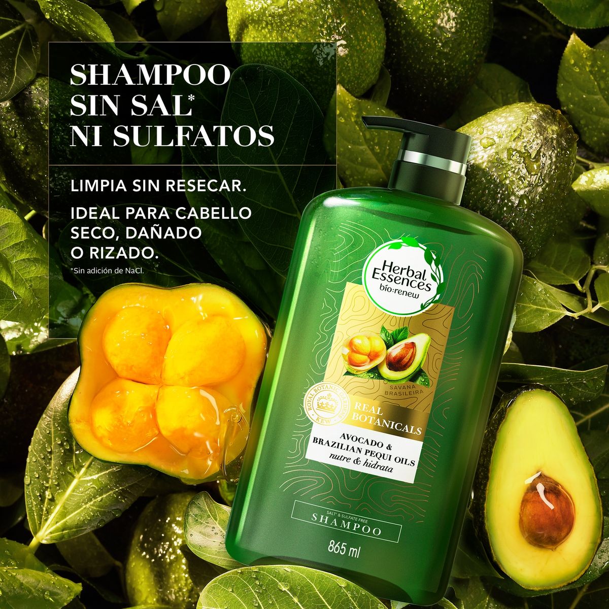 HERBAL ESSENCES - Shampoo Sin Sal' Herbal Essences Nutre E Hidrata Pequi & Aguacate Botella 865 mL