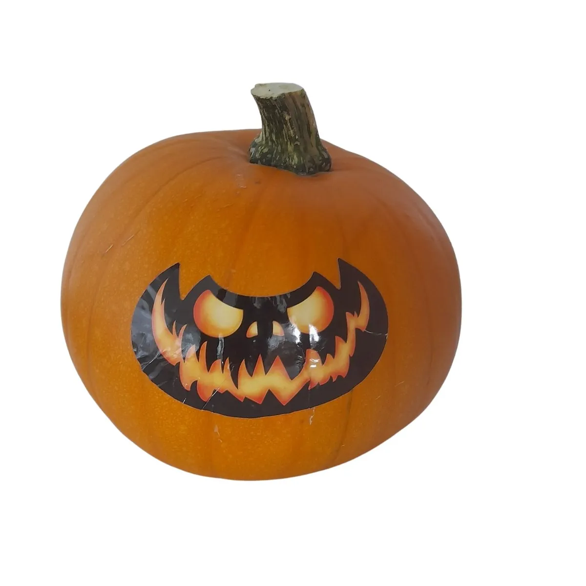  - Calabaza Halloween Florfruits x Un