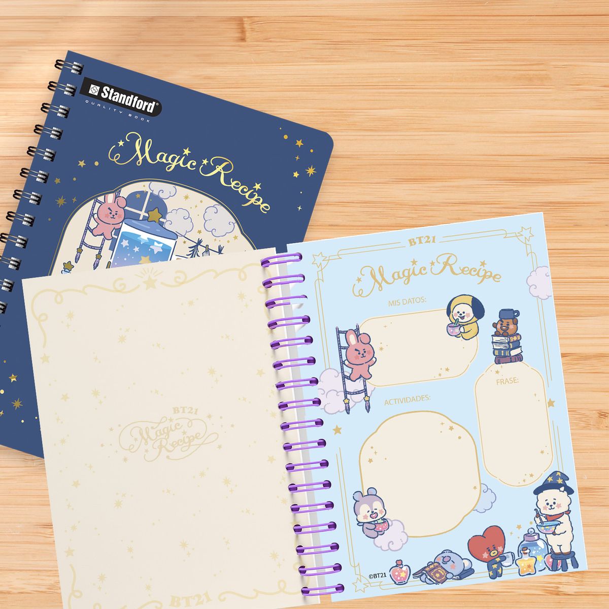 STANDFORD - Cuaderno Anillado Standford B5 120 Hojas Quality BT21 S1