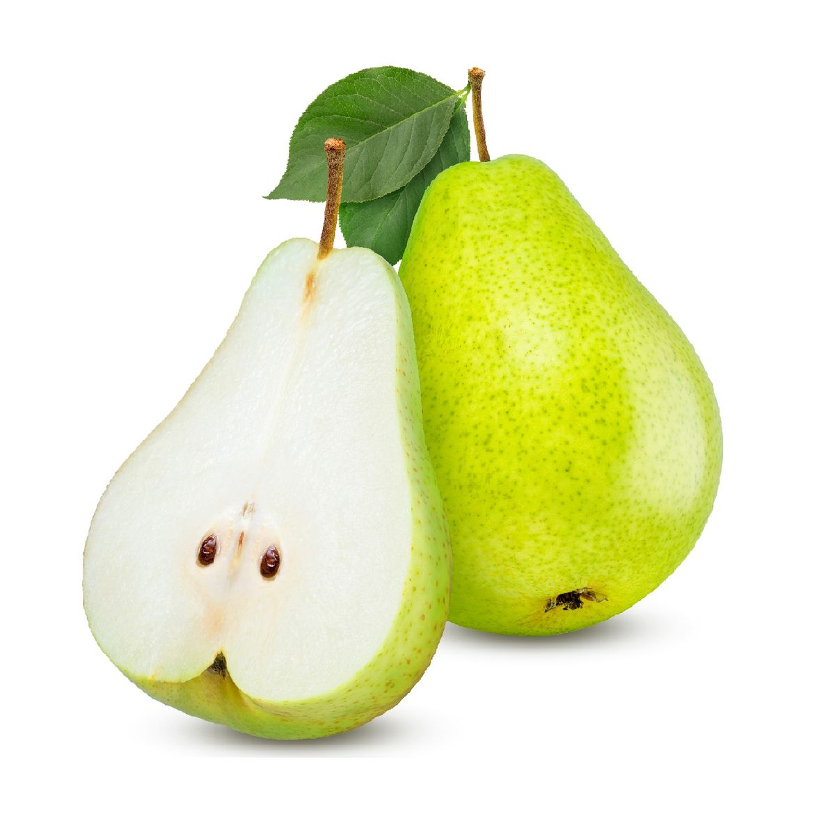 TOTTUS - Pera Williams x Kg