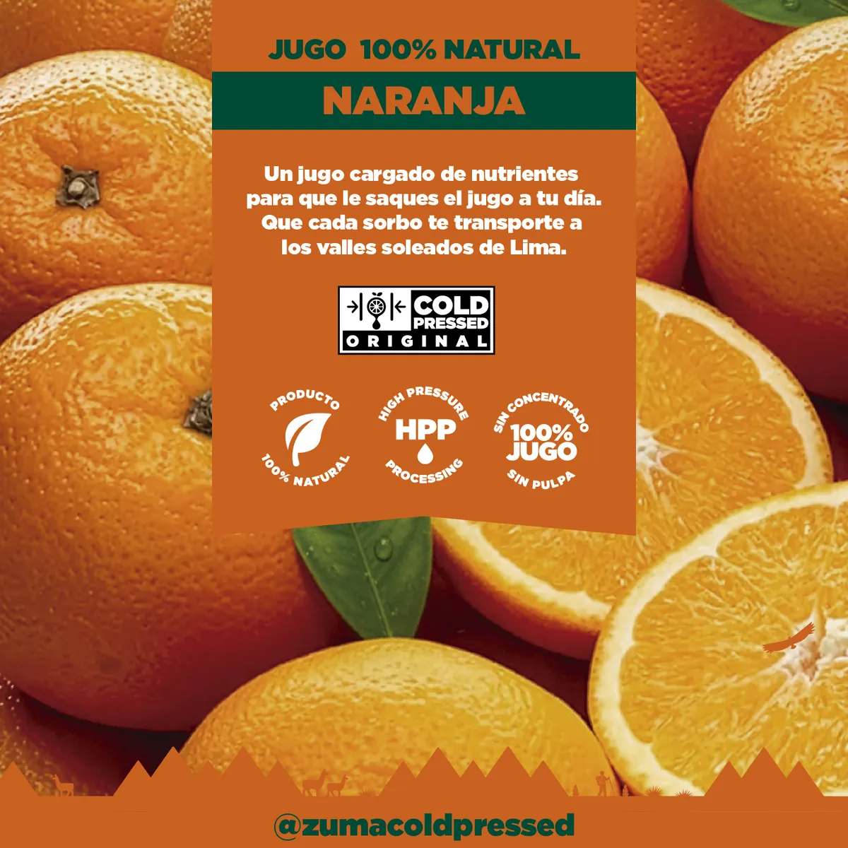 ZUMA COLD PRESSED - Jugo Cold Pressed Zuma Naranja Botella 355 mL