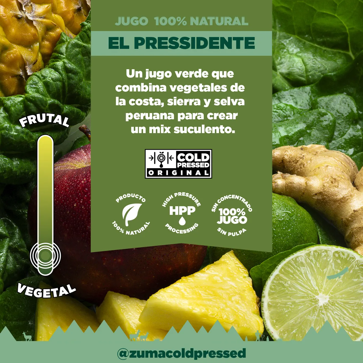 ZUMA COLD PRESSED - Jugo Cold Pressed Zuma El Pressidente Botella 1 L