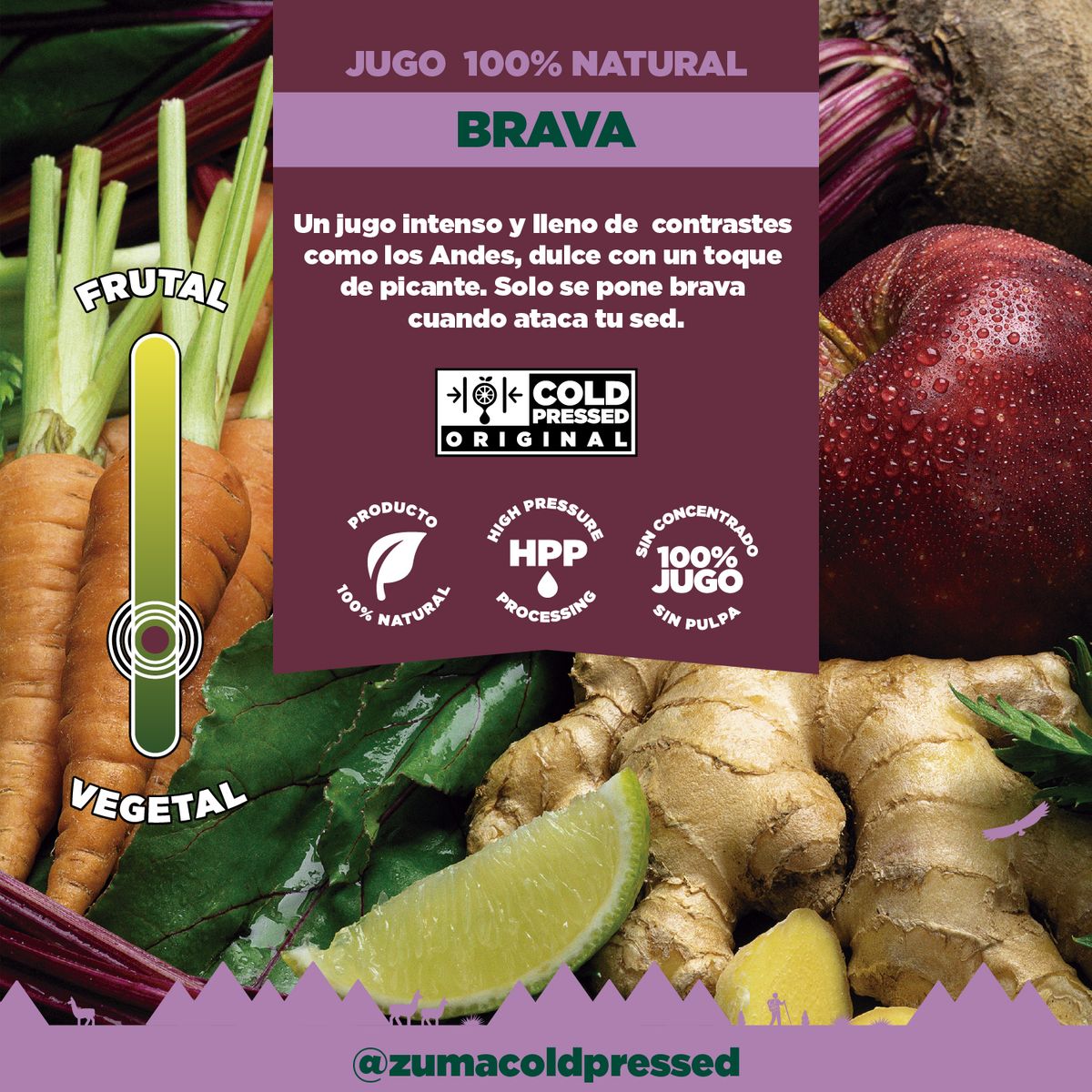 ZUMA COLD PRESSED - Jugo Cold Pressed Zuma Brava Botella 355 mL