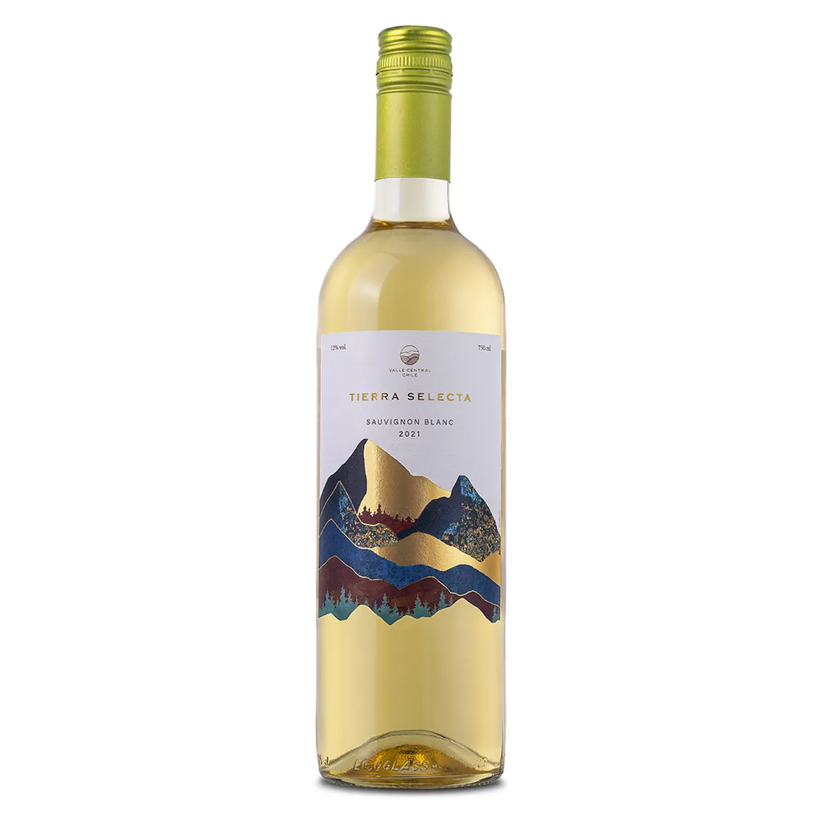 TIERRA SELECTA - Vino Tierra Selecta Sauvignon Blanc Botella 750 mL